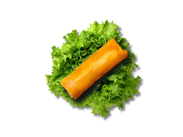 US1 Spring Roll (1pc).